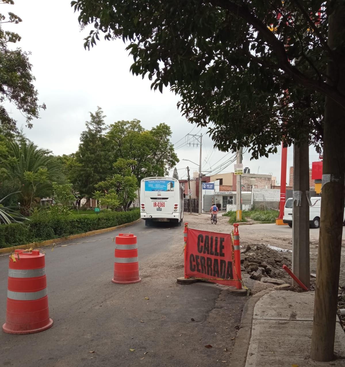 50990D49-D61E-4954-A3F2-041A38D2445A