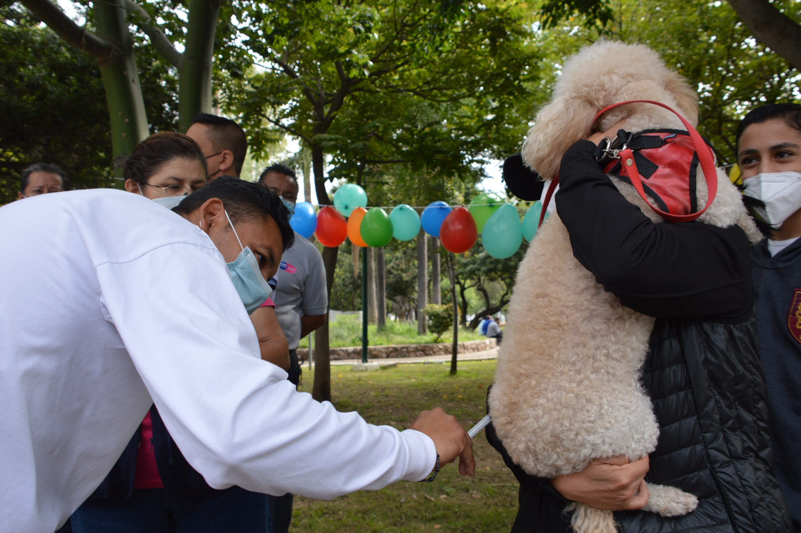 A501A6FE-AD88-42C5-969C-7EC24C6B07E6