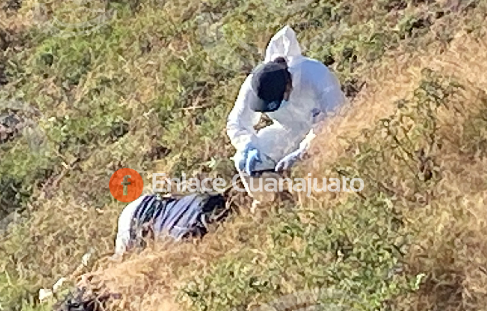 726E9B9A-7F6F-40F1-A42E-D7282DD0EB88