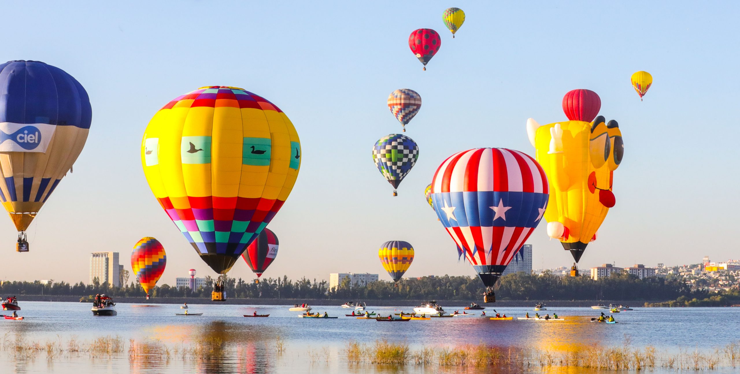 8956E83D-415B-4814-B6C6-5CEDCB6DA611