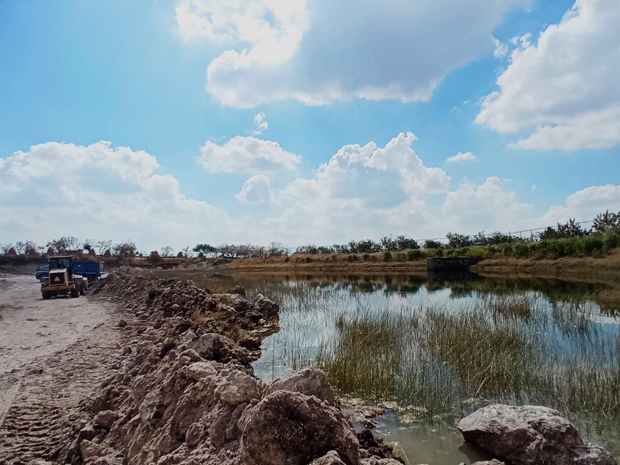 03664651-B4E6-4339-9C80-4DB25BF65559