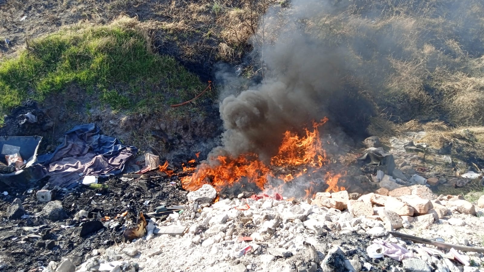 AD3EF10A-EBBD-43DE-9876-813EC5695540