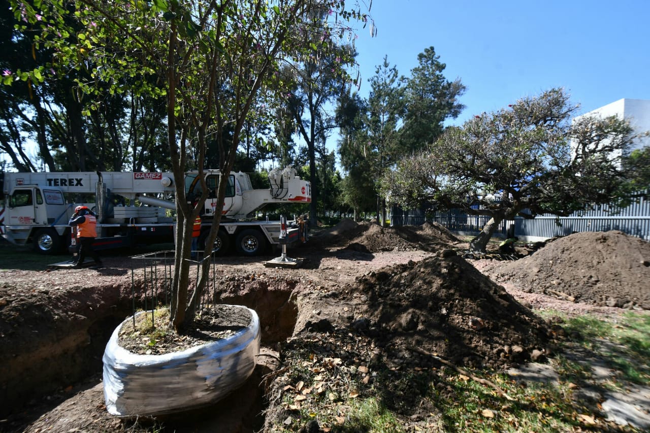 F0DE65B4-672F-483C-96F1-E46808B100CF