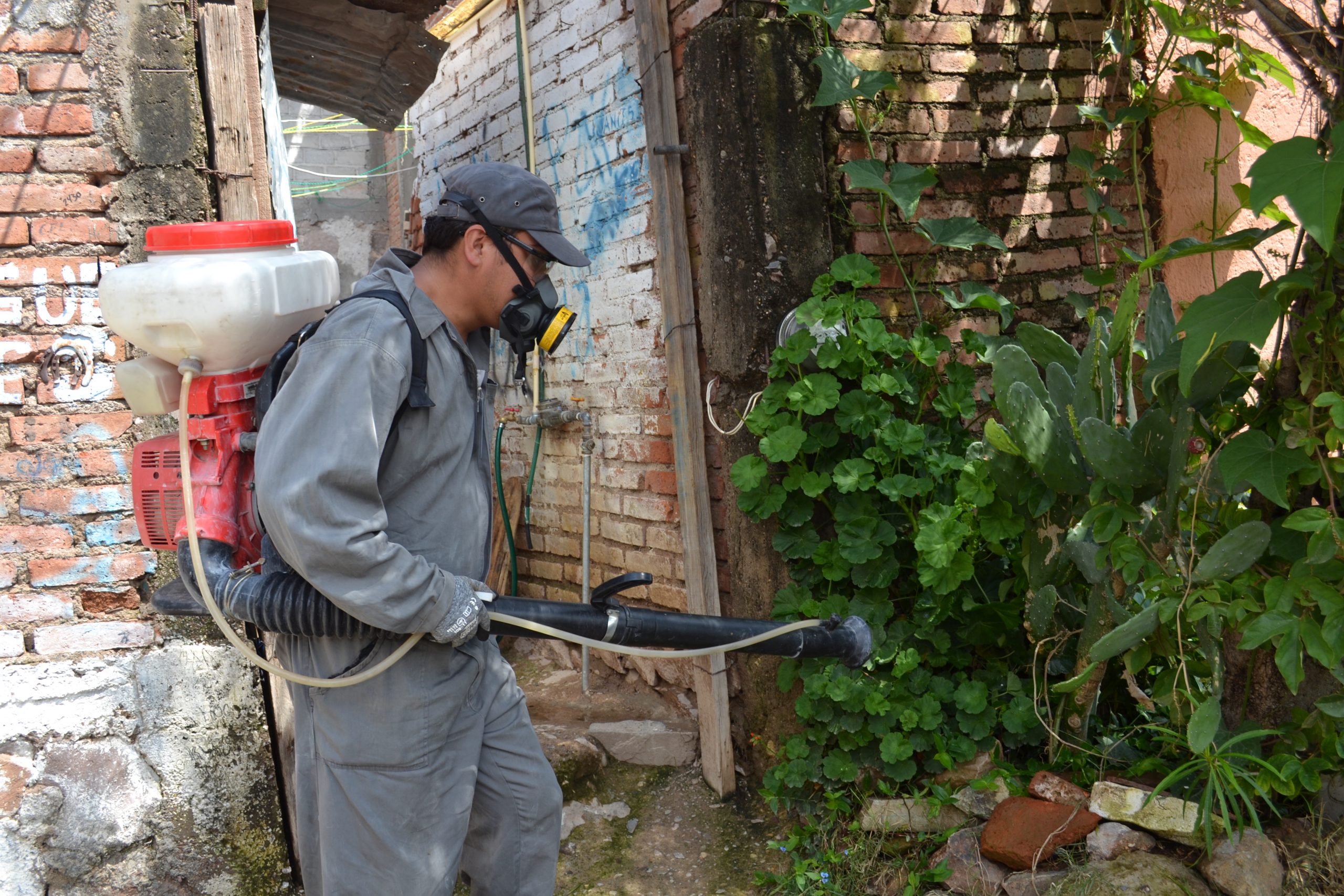 CE5A1BD7-21B7-437C-A0D0-4484F4A1788D