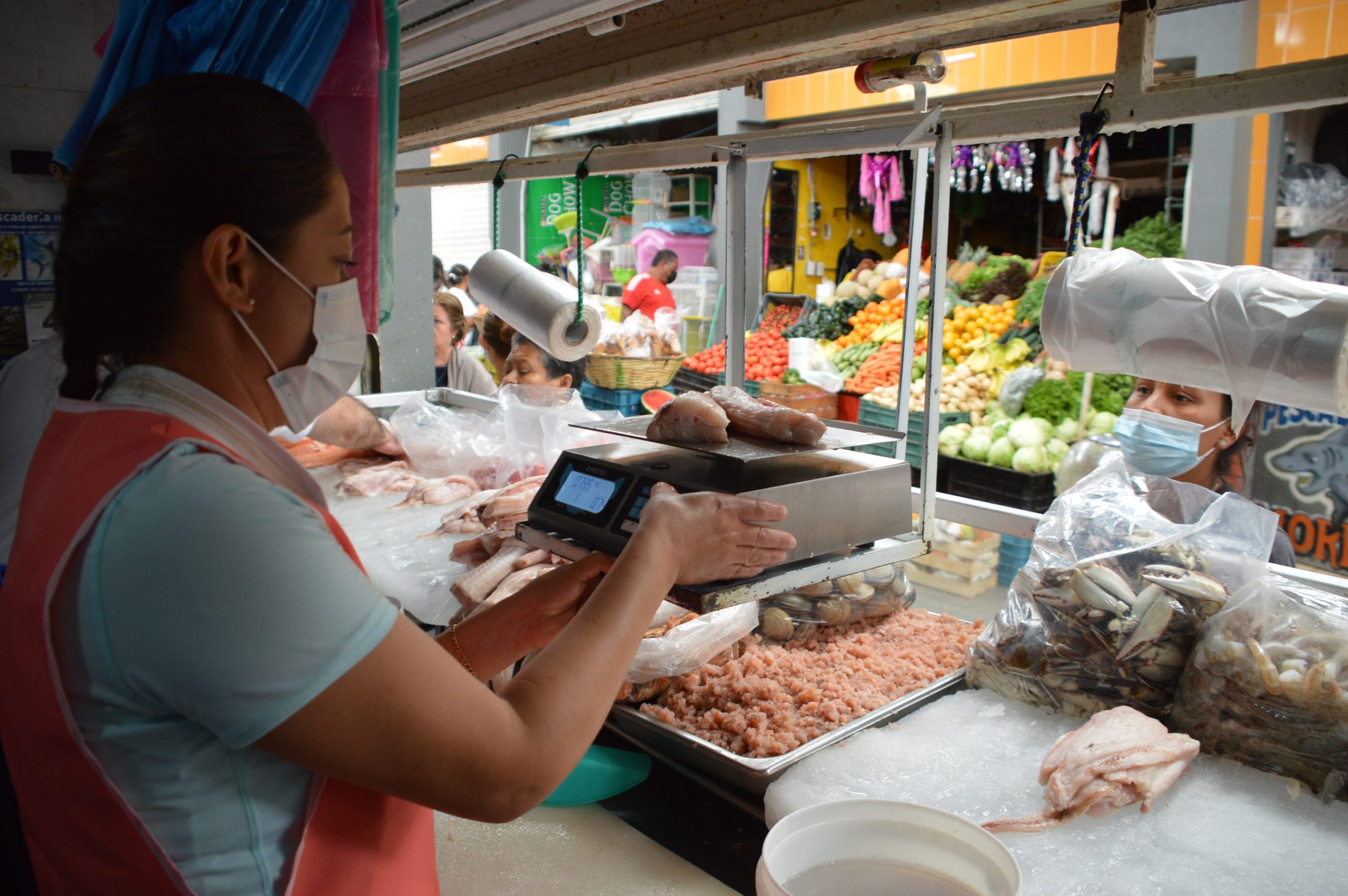 0A241B61-BA09-4903-94F1-08AC550A54D3