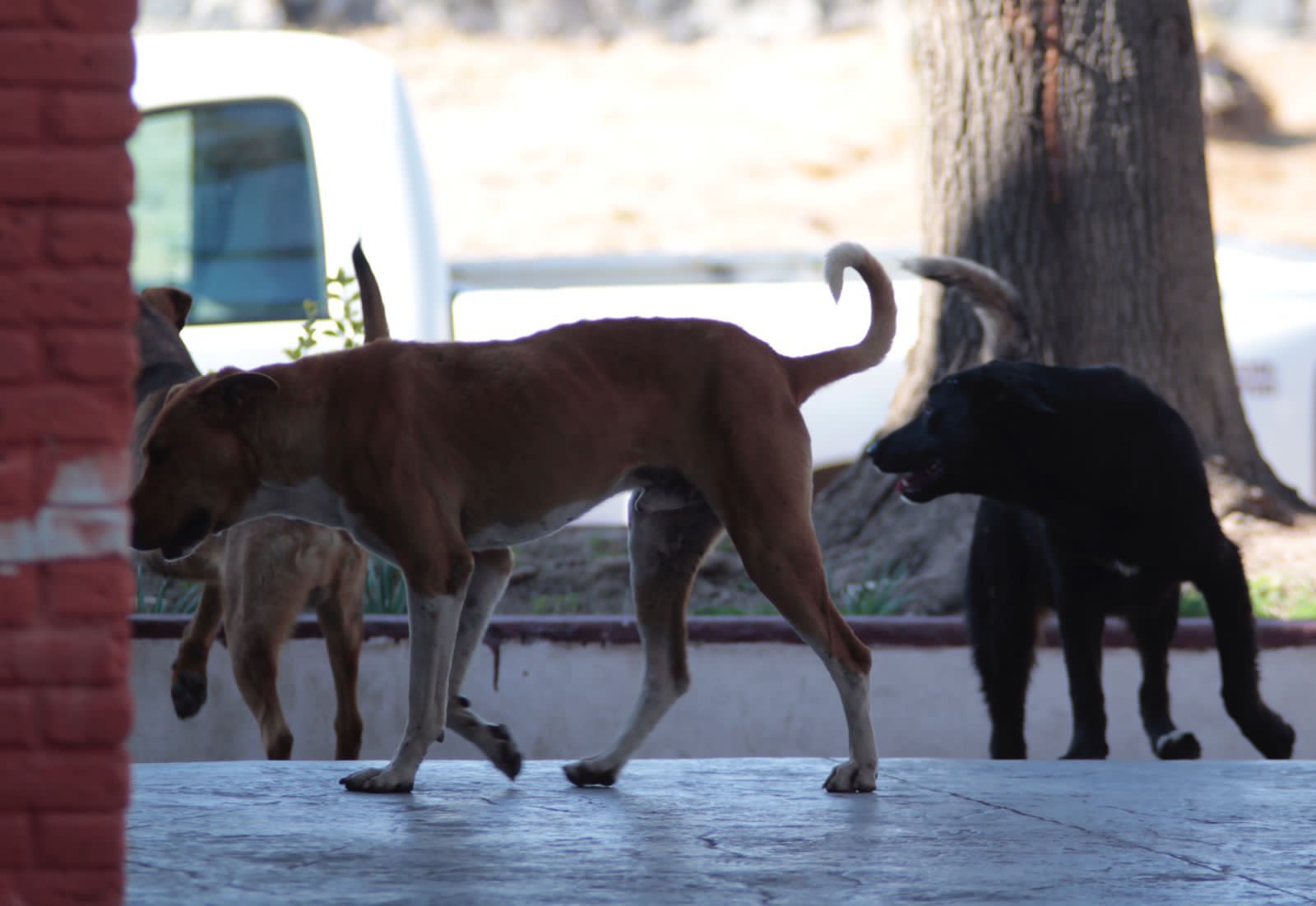 EF87E604-CD5C-41B9-8202-0817A3EC2D34