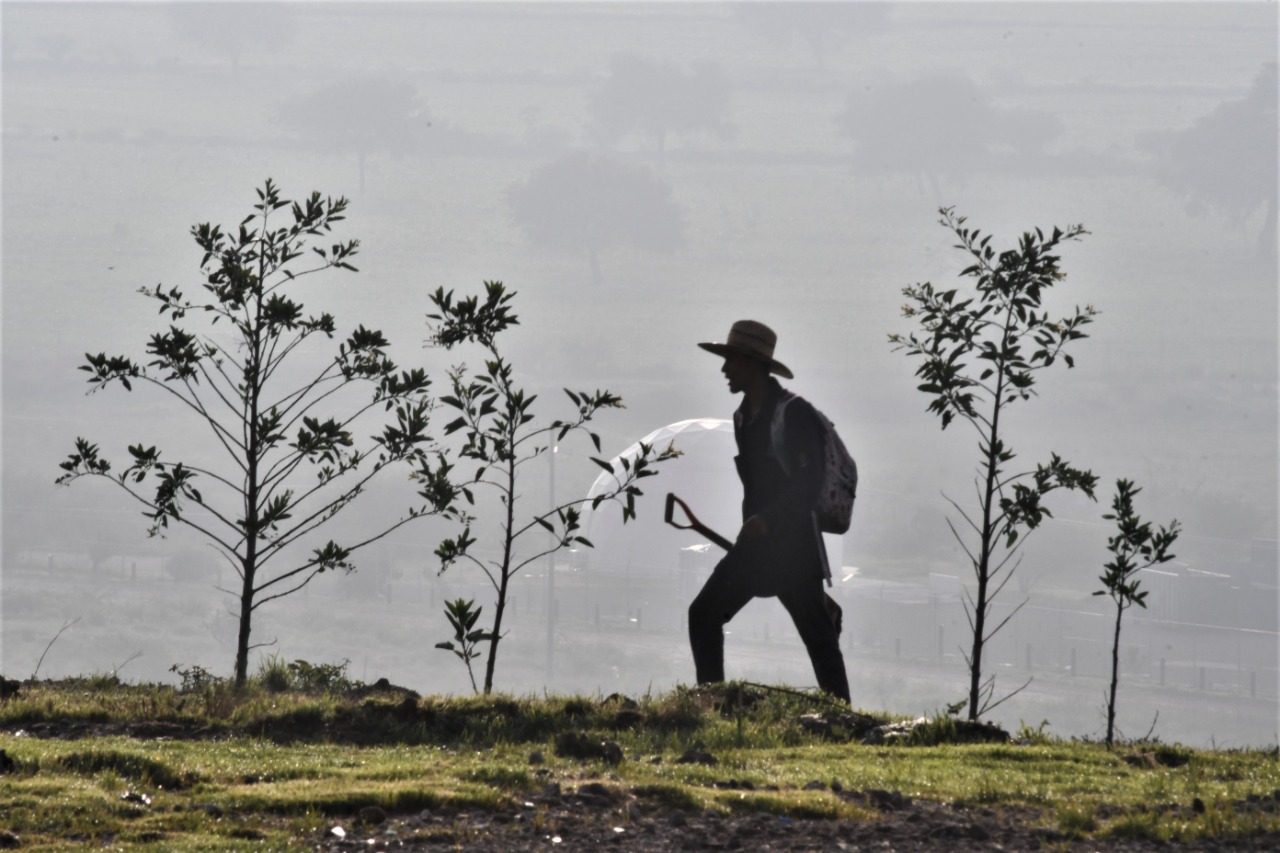 EEB9B63B-2B47-48AA-94DE-51F6B29286E6