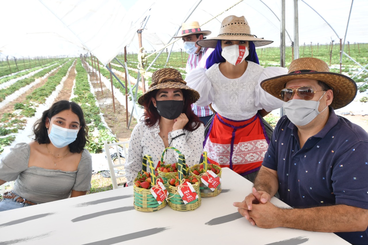 C733E7B5-C38C-446E-9E4D-B53E51B8593C