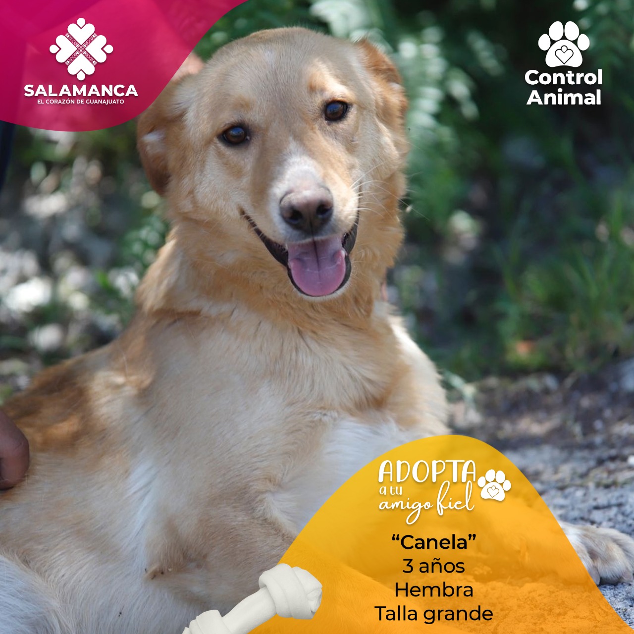 0EFAD183-1076-478E-A3F0-51D883882DC3