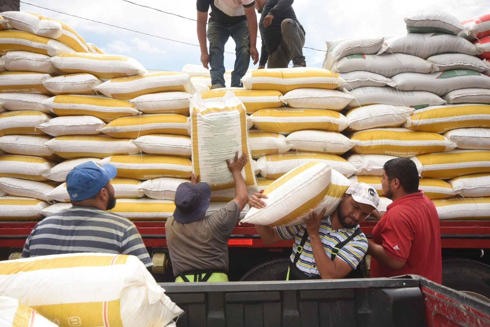 833FECA4-9124-4D8D-B835-7A8D5CE25507