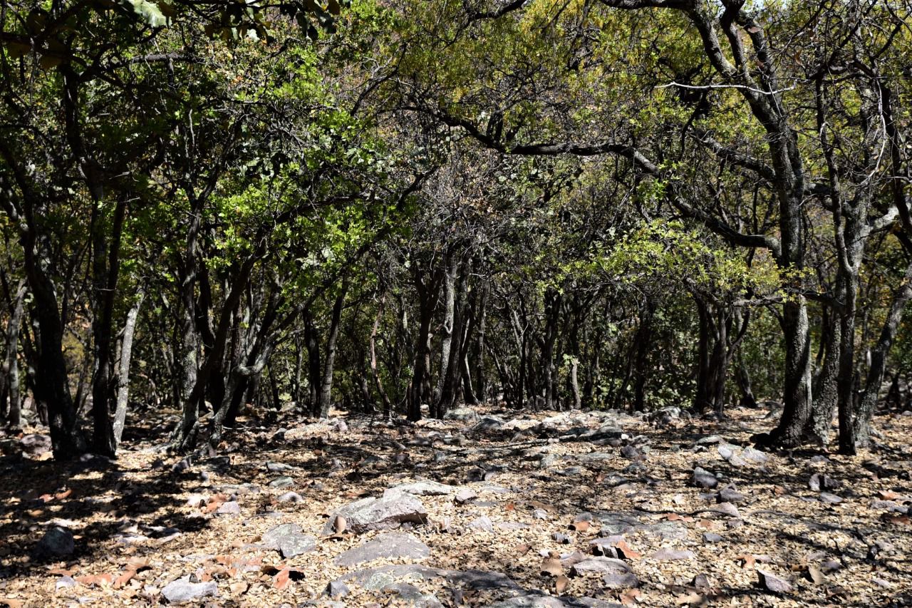 BBC6E4CF-F43D-4569-8481-75354F6B9C84