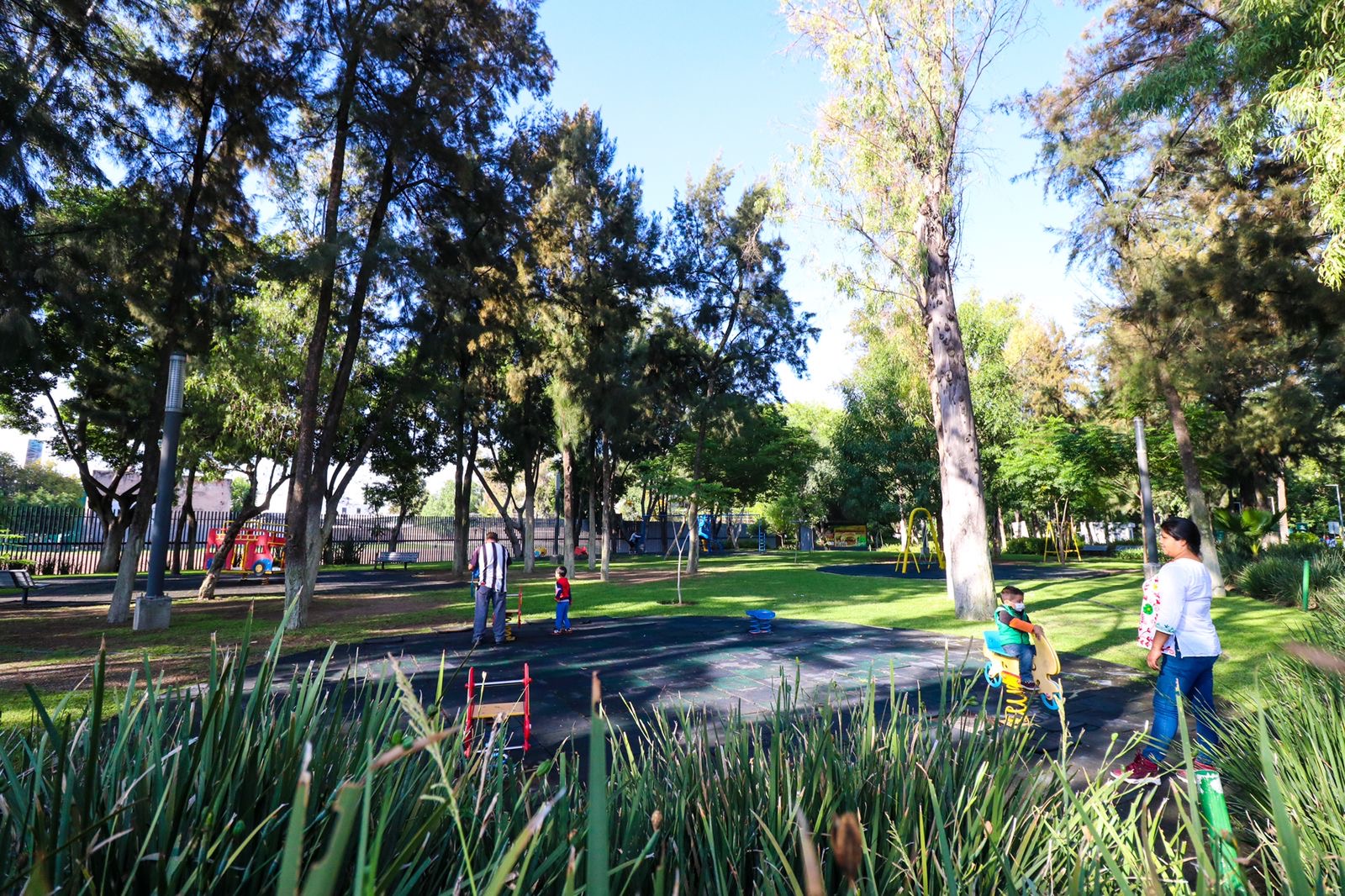 D20C9FA3-4080-4BFC-B842-5C8E7D84AE20