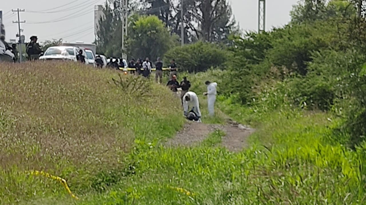 F1967C3D-CFE0-427C-8E08-4D456B317898