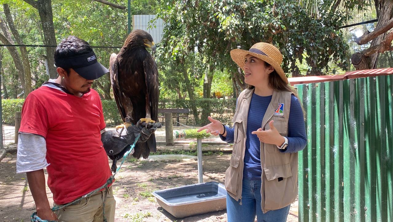 182154A9-A6A7-4DEA-A997-3A0C2E4E19C2