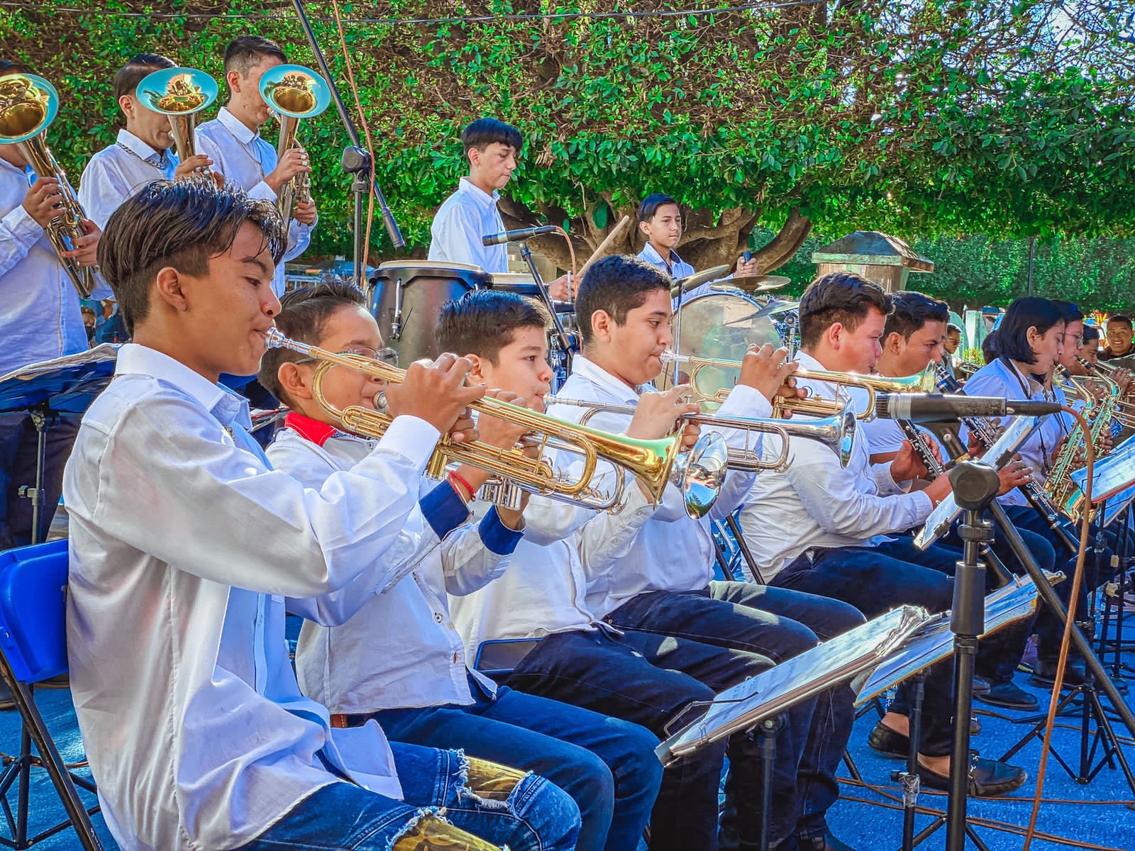 66B05BE5-D0A3-4E88-8FE0-E6DA0F3D96B1