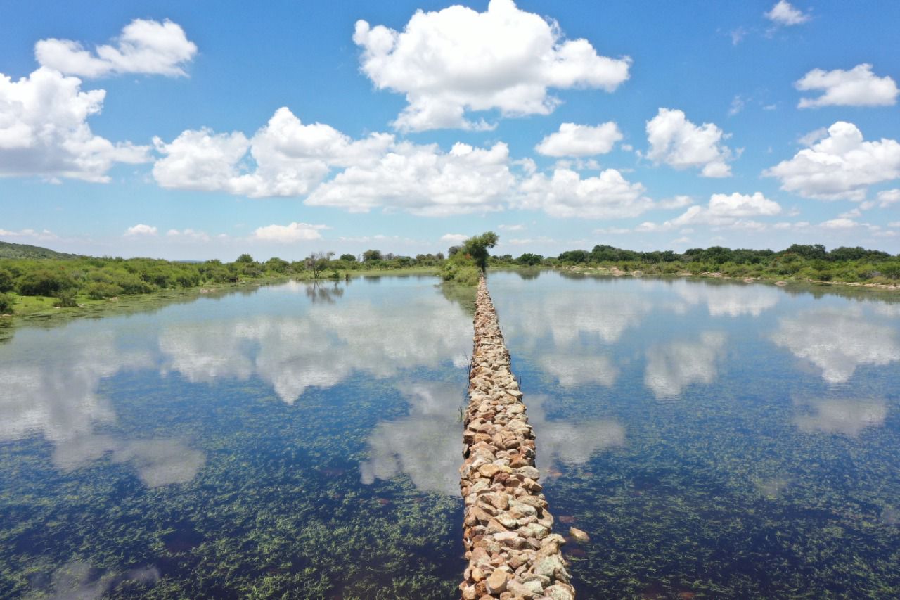 ABD1CD4C-66D2-4D22-A400-40A8FE1E9D84