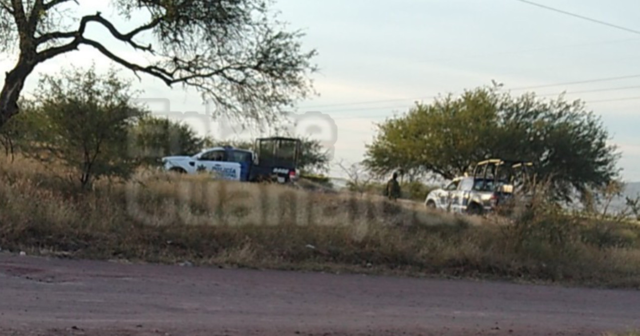 0C5CCD24-154F-4A87-A95F-6A7508DFA213