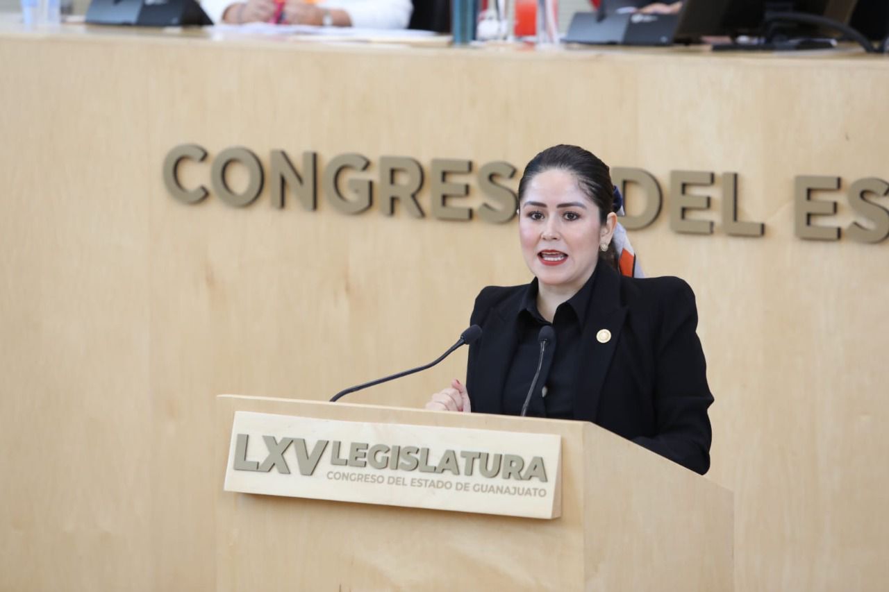 Dip. Briseida Magdaleno