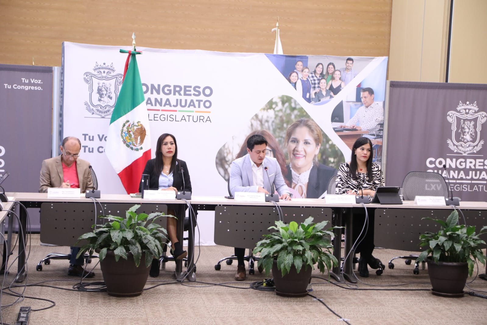 725CF192-3026-432A-8385-016C3EDDF531