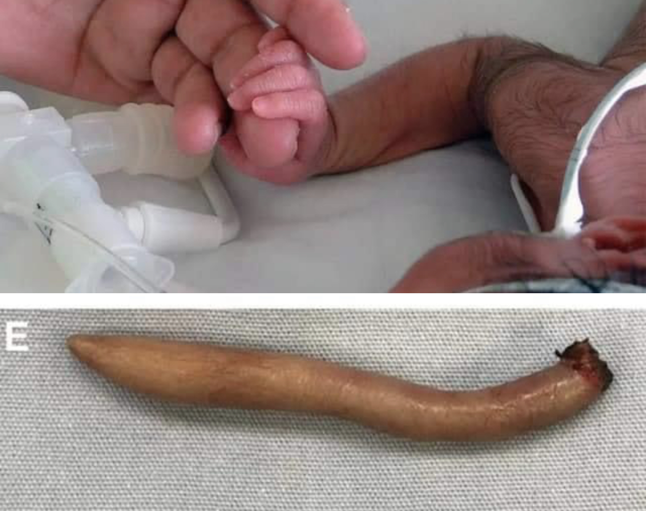 9165874C-8434-47F2-A4C8-3F624AF0A53B