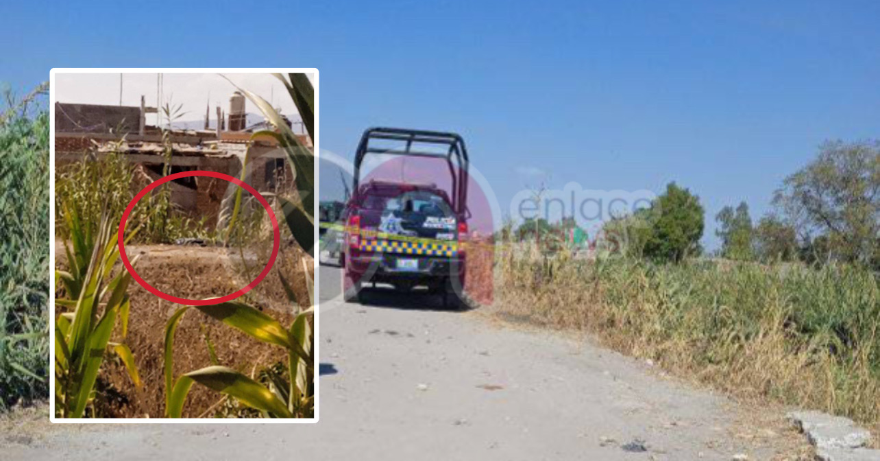 7ECF4A77-4821-4966-B74A-8BC81F181DAD