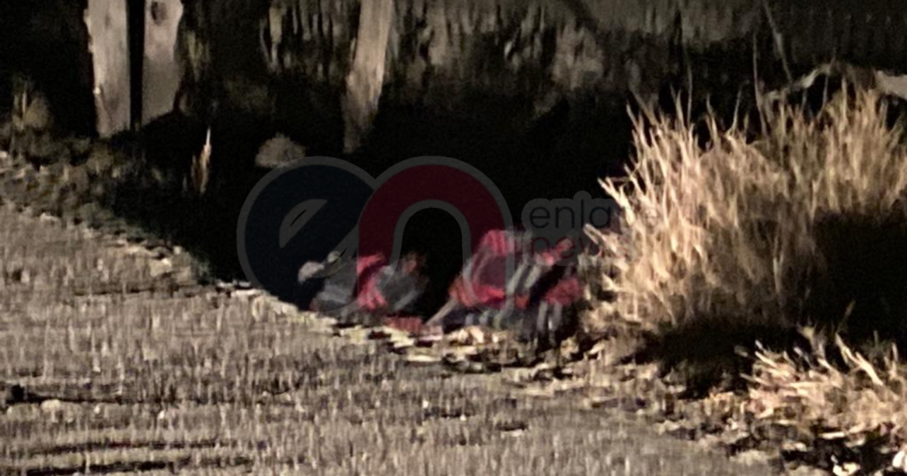 DDD69D53-84E6-4B65-AE80-5DA18FC455DB