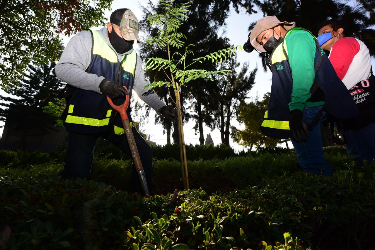 3067C45C-56B0-4849-8EDB-FA2746C912DE