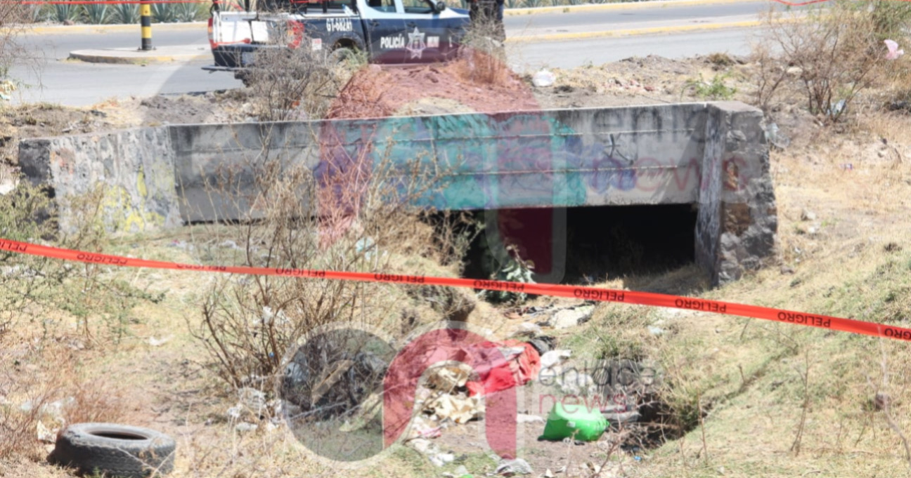 FC0AD38C-8AD3-4FBB-B852-E61C63984CBD