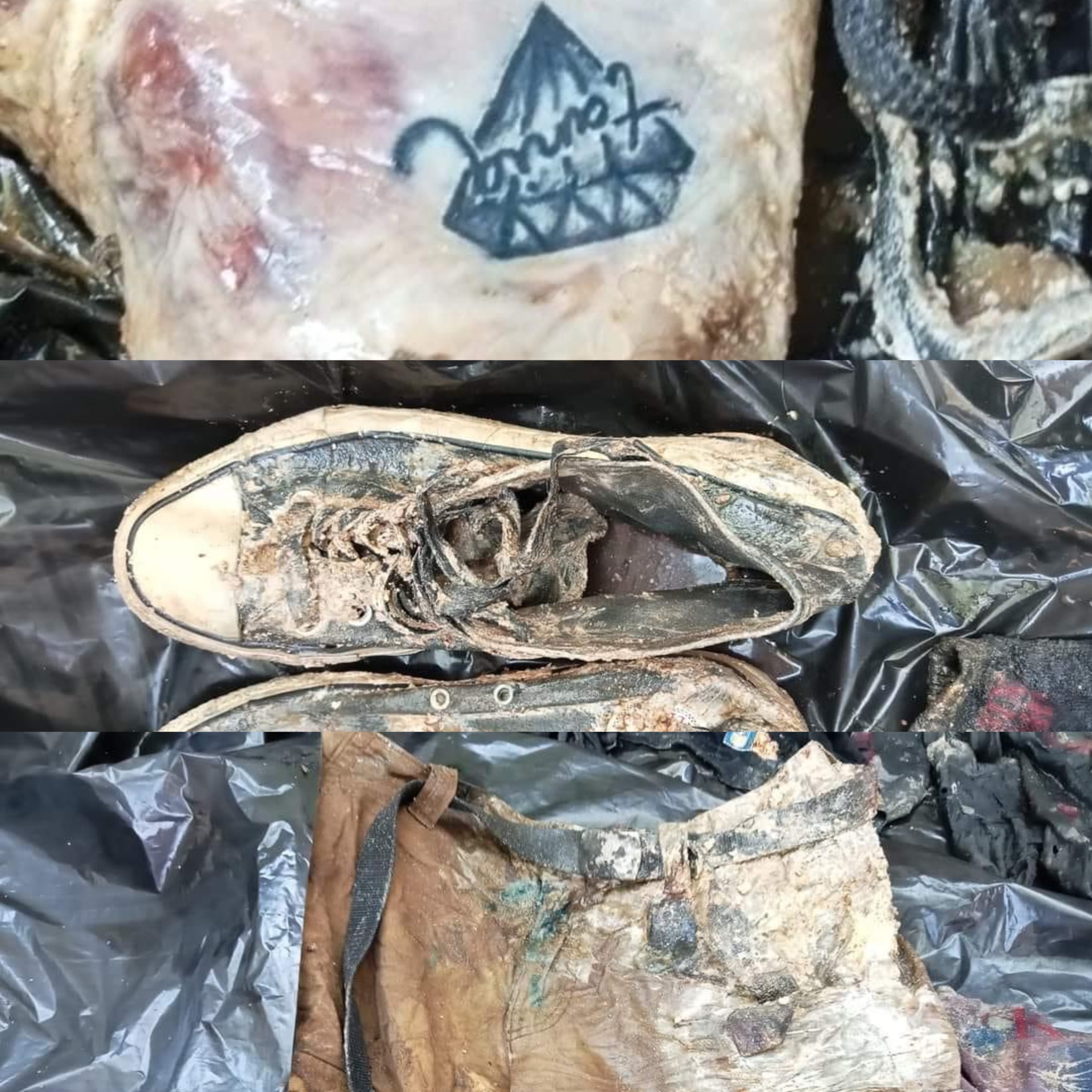 300E249A-7A83-4EC1-B4D0-4DF98212524A