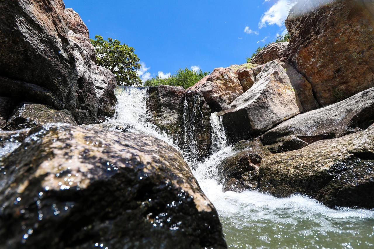 7bca538d-fa2b-4542-bdb5-53cc2c47234f