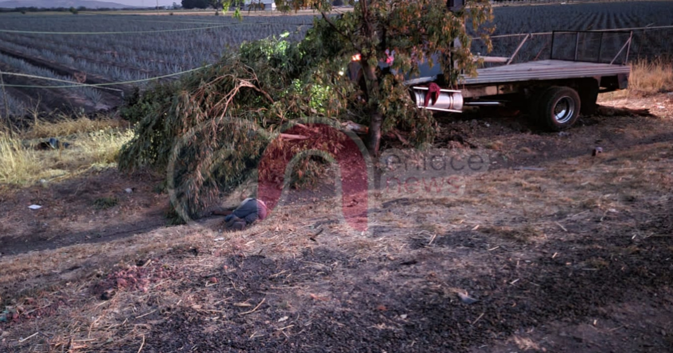 AEDF30D9-DDA2-4DD2-A847-D58CEFAC6426