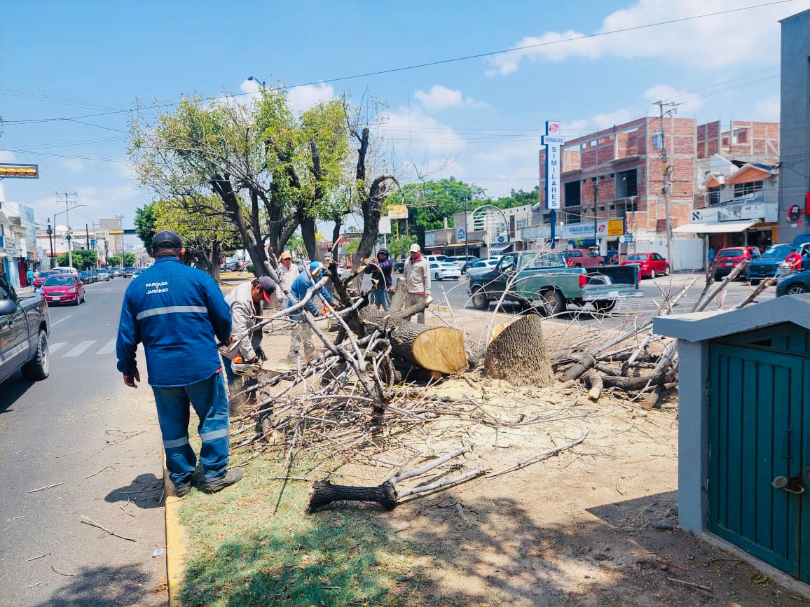 b2e7472a-ad38-4291-9644-3cd937db34c3