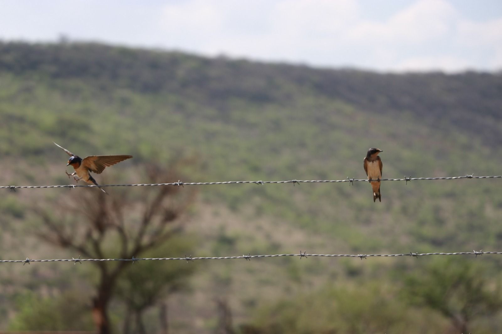 85f0cb0b-198a-4c5e-8f63-cc931b5ecde9