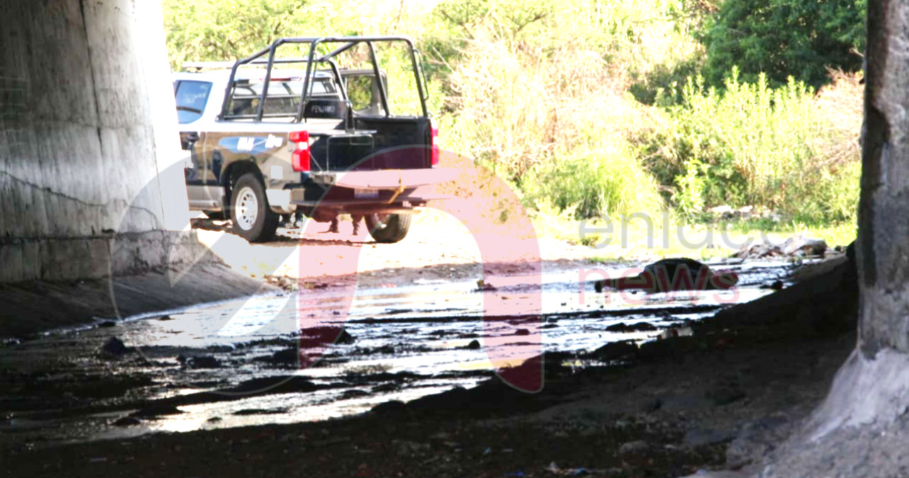 CF42DF19-7FD9-4FCF-B8D4-656C1E45F899