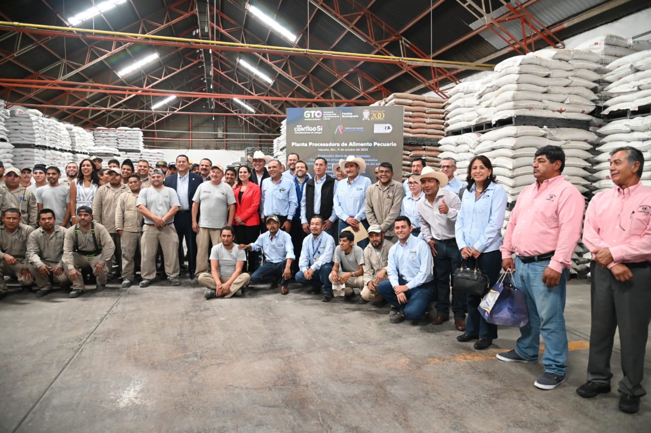 9e3a7ea0-fcba-464e-9f02-00d2d89aaf90