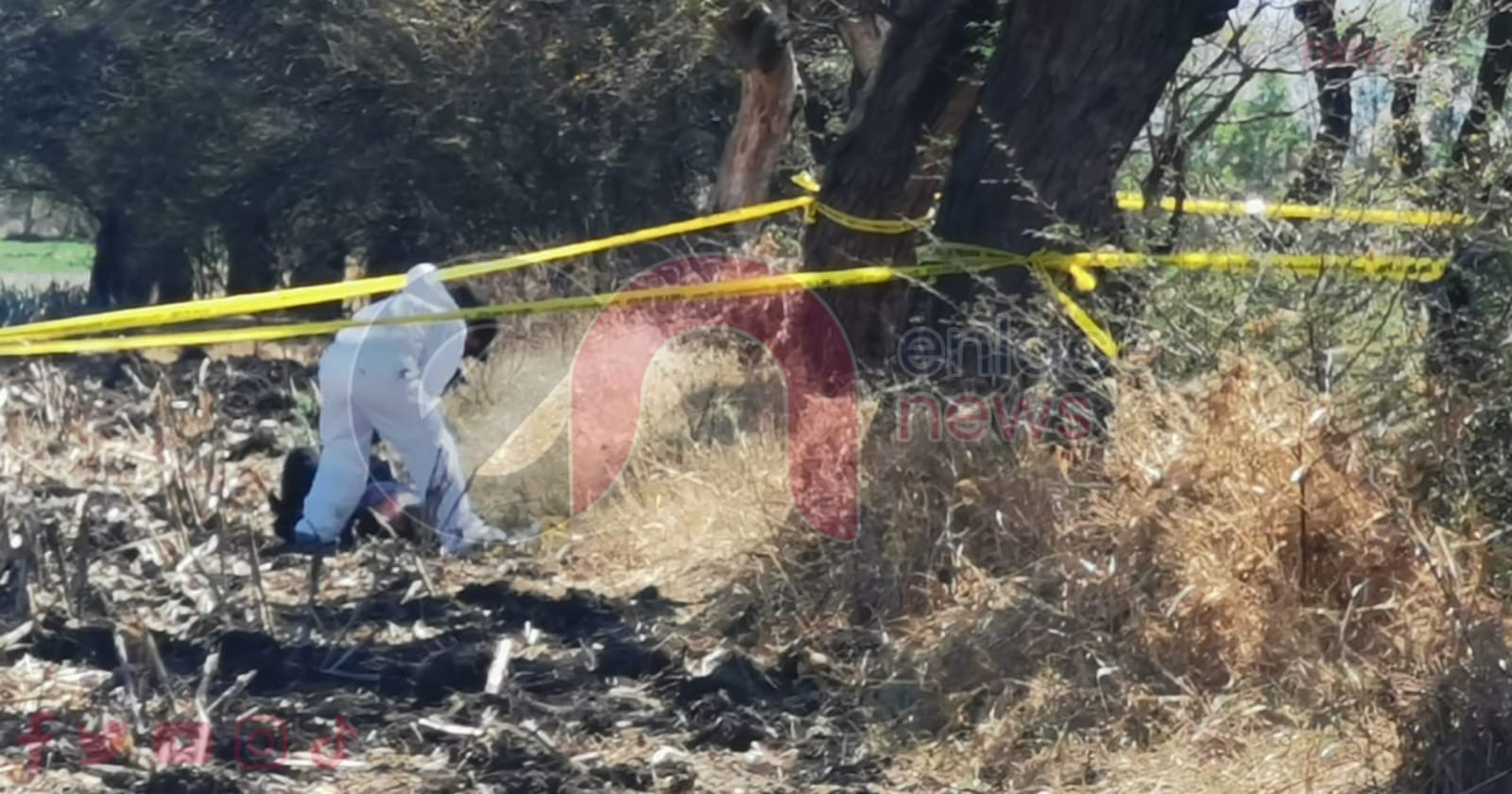 1dc3ac76-6f4e-4427-b30c-4435b1d50ea5