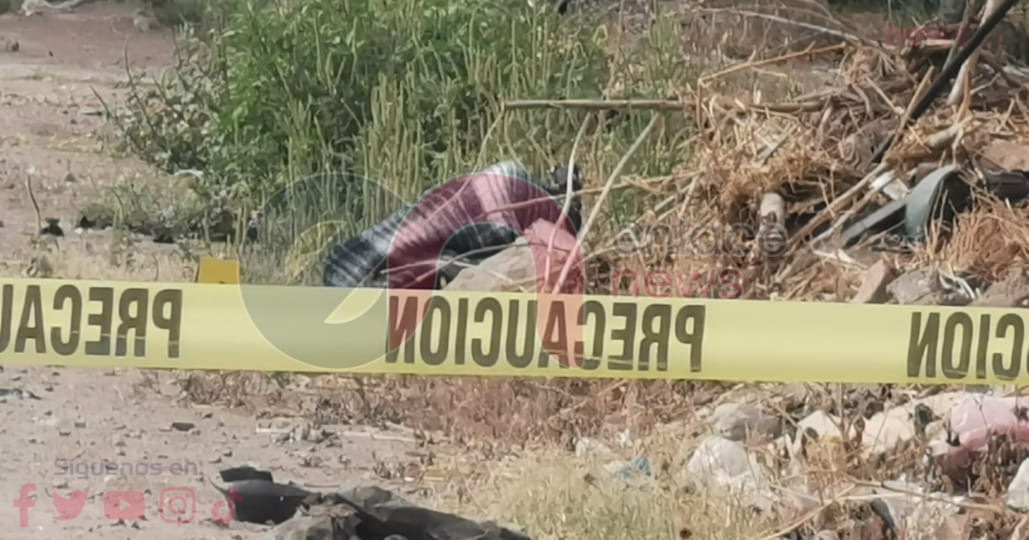 e923238f-e91e-4016-8ea9-ff57156027a3