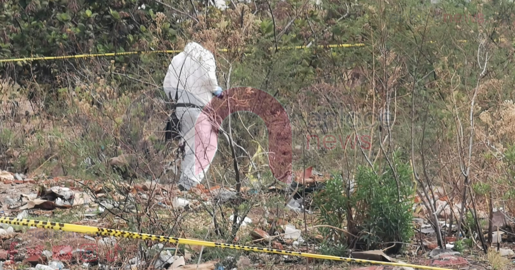 Picsart_24-06-26_09-49-56-533