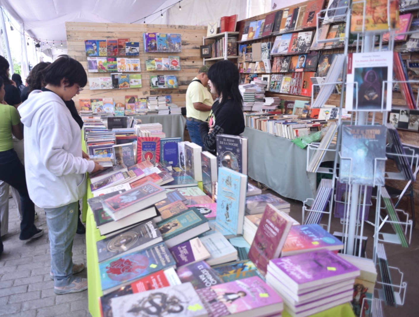 Feria del Libro (2)