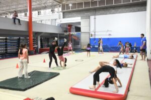 84749217-ed63-4140-aedc-3f0a57bd1a93