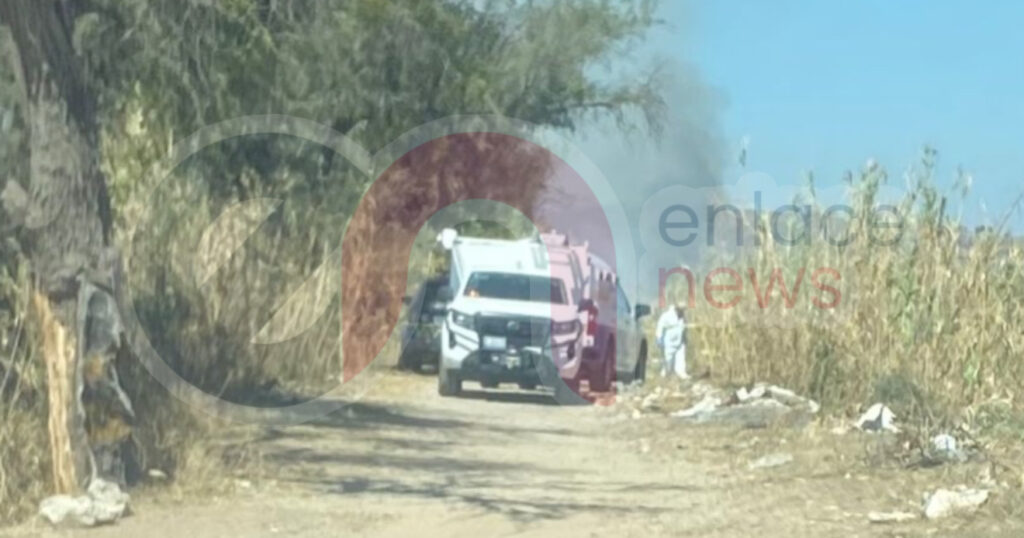 E81D1E5C-93ED-400A-A86E-9DA72D9ED5D1