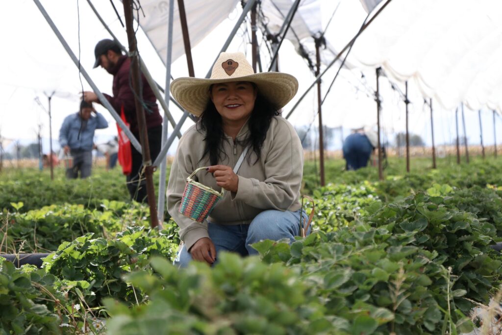 d57889ca-043e-4942-997a-7dcbd13090b8