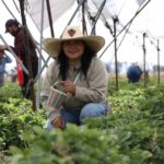 Irapuato impulsa turismo social con diplomado especializado para el sector